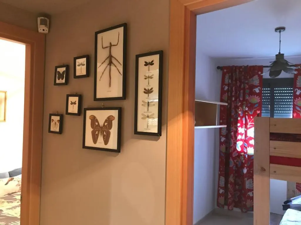 Sanfaina De Gats Apartment Deltebre Spain